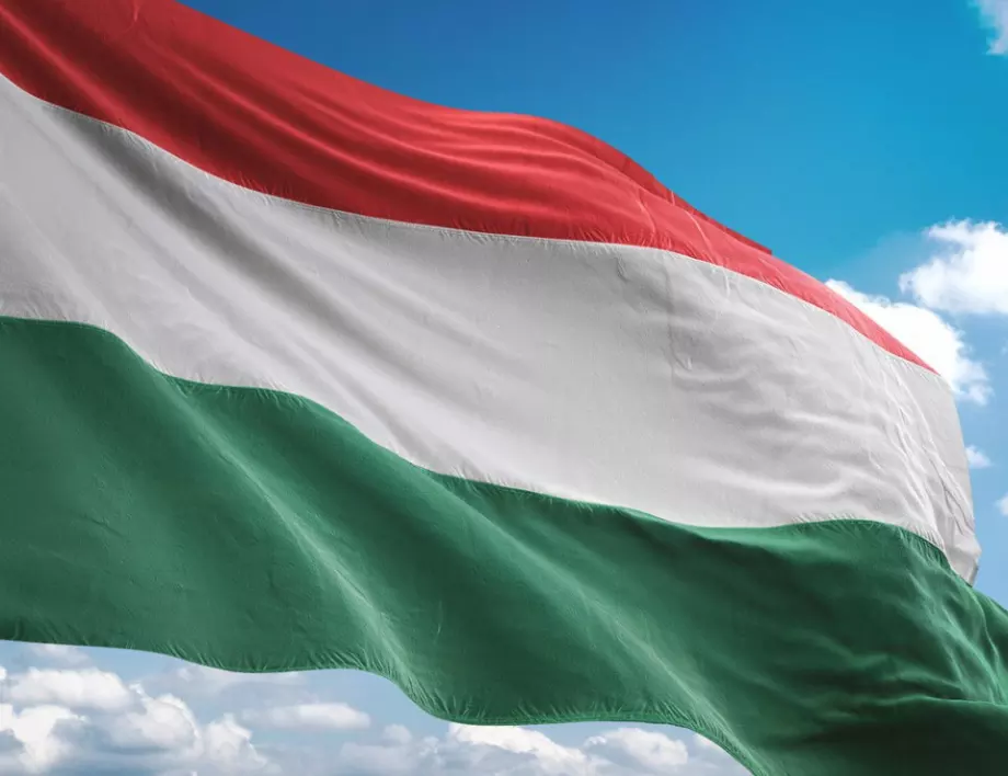 ЕСПЧ призна Унгария за виновна в нарушаване свободата на словото 