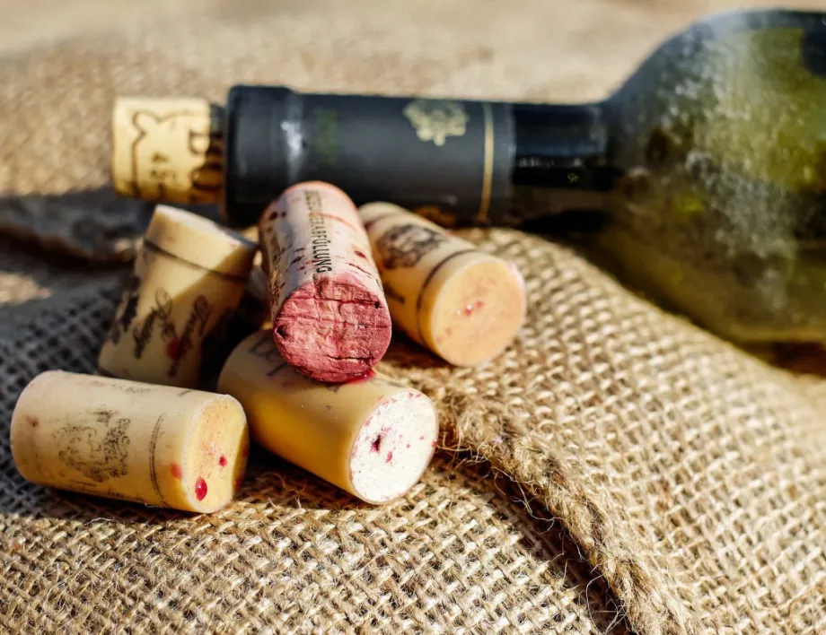 Лозаро-винарският сектор ще загине без държавна субсидия, твърдят от камарата в Бургас