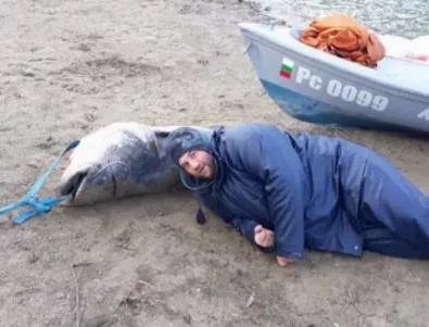Рибари от Русе подобриха рекорда за най-голям уловен сом