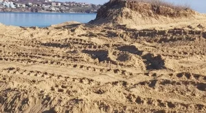 Природозащитници зоват държавата да си върне дюните, които се водят земеделска земя