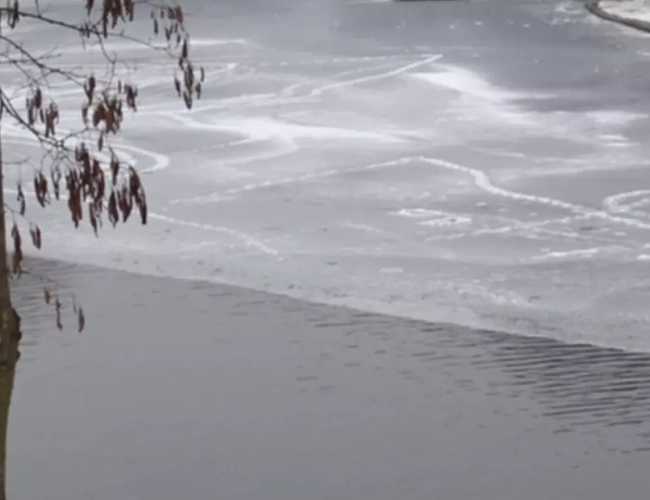 Голи гвардейци спасиха домашен любимец в замръзнало езеро 