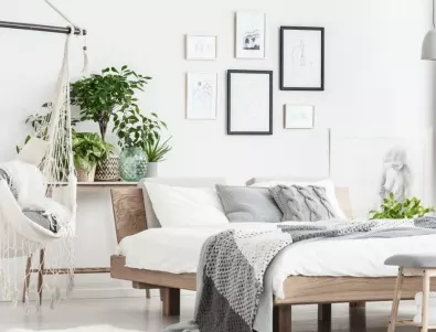 5 растения в спалнята за по-добър сън