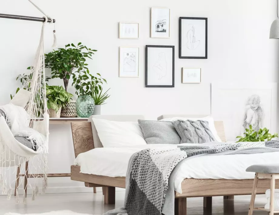 5 растения в спалнята за по-добър сън