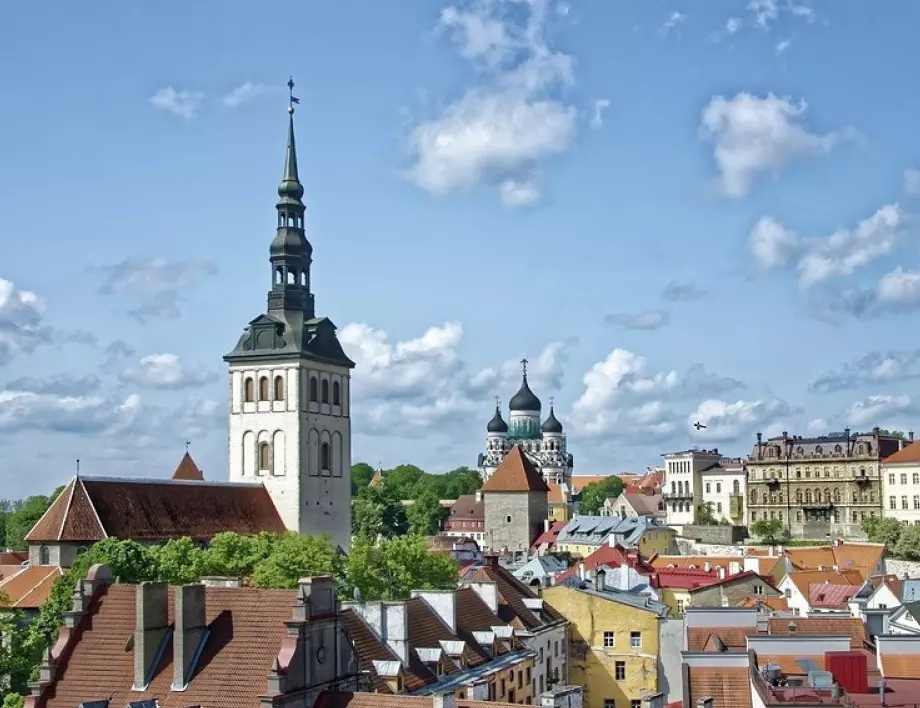 Естонски националисти събират подписи за излизане от ЕС