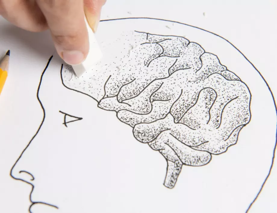 Тези храни стимулират деменция, избягвайте ги!