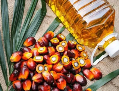 Палмовото масло в храната води до затлъстяване и развиване на хронични болести