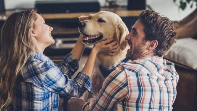 5 идеи за почистване на дома, когато имате домашен любимец