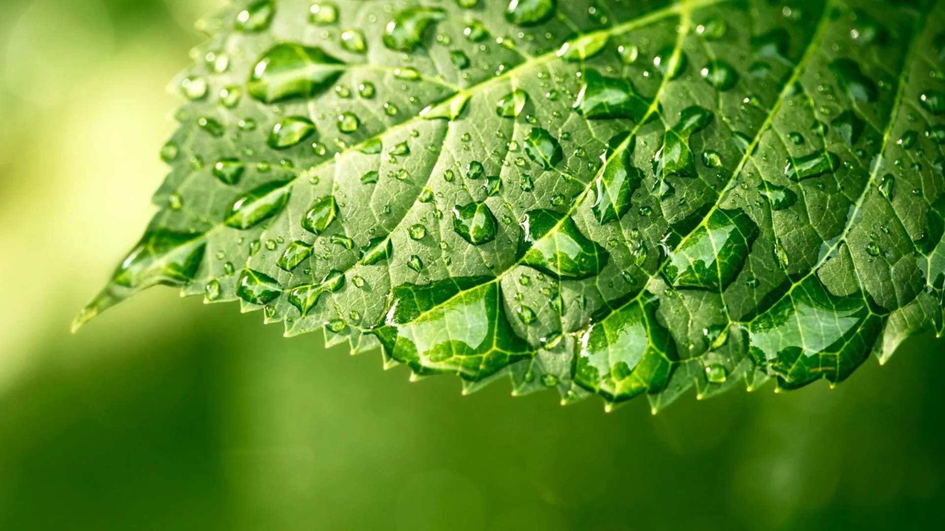 Прогноза за времето - 16 април 2024 г. (вторник)