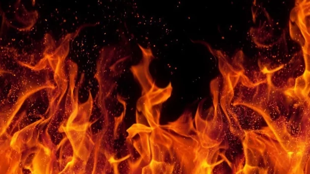 Нов пожар във вилна зона край Пазарджишко