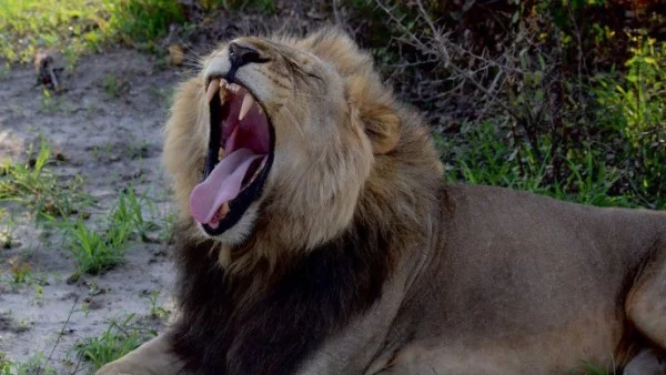 6 трика, за да прикриете, че сте недоспал