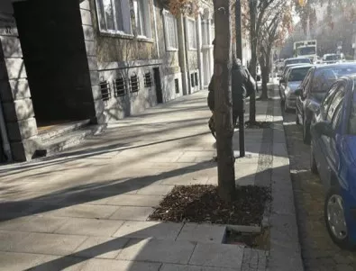 До входа на Столична община - плочките на ремонтирания тротоар почват да си отиват