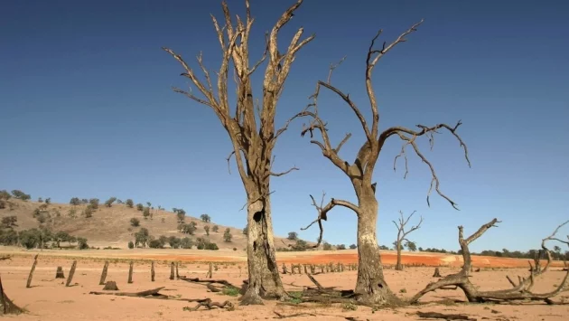 Засушаванията засягат 55 млн. души годишно