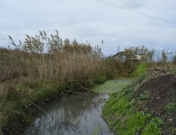 РИОСВ Бургас ще глобява за замърсени речни корита, пътища и селища