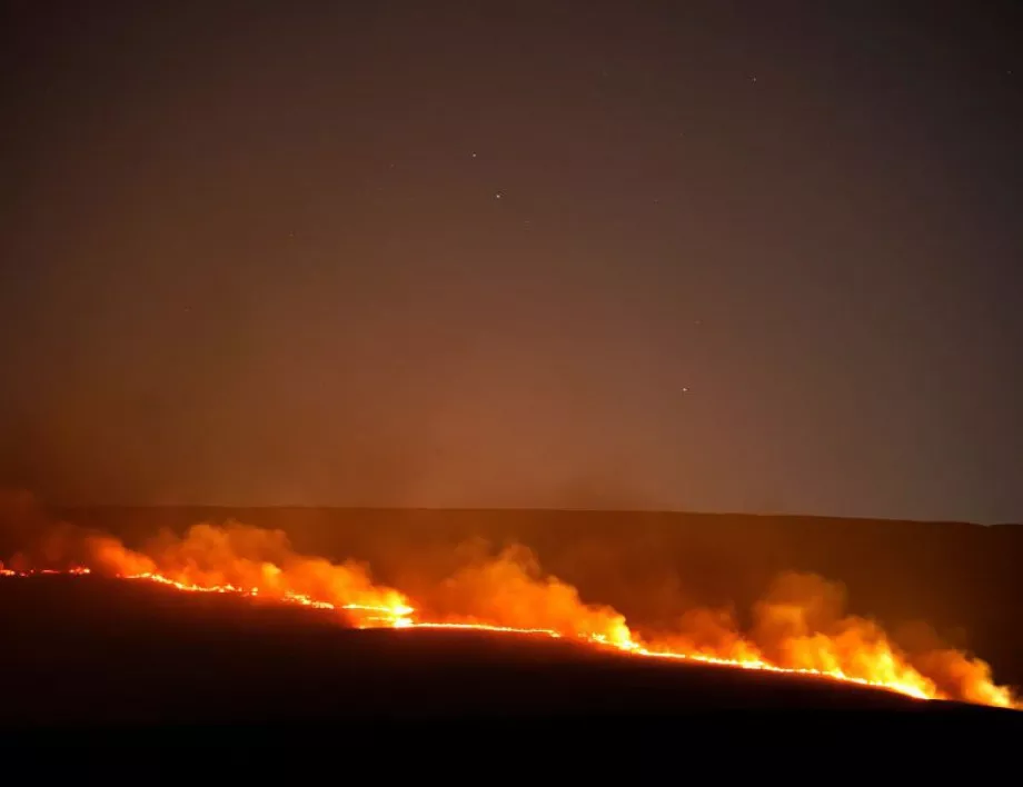 Горските пожари в Боливия са изпепелили повече от 4 млн. ха гора