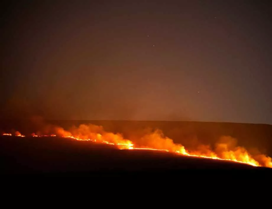 Нов голям горски пожар избухна в Калифорния 