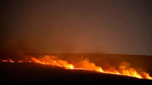 Мощен пожар бушува в горите край Охрид