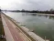 Стотици мъртви риби изплуваха в Гребната база в Пловдив (ВИДЕО)