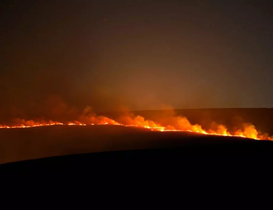 Пожар е овъглил тръстика в защитена зона край Дуранкулашкото езеро