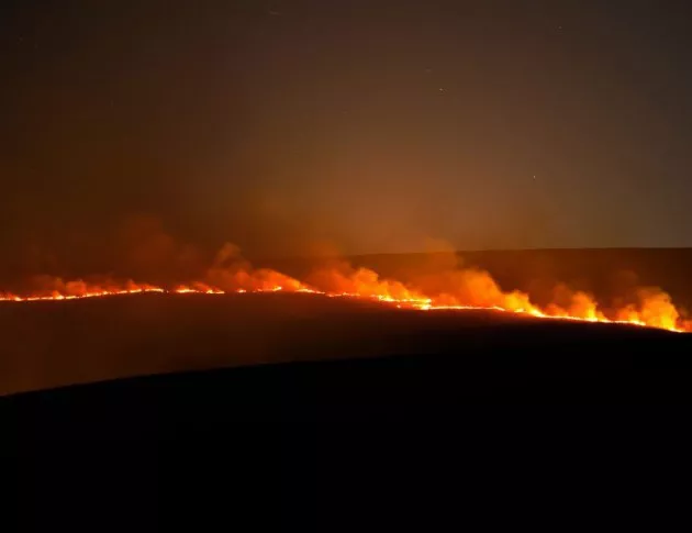 Голям пожар пламна в борова гора в Хърватия