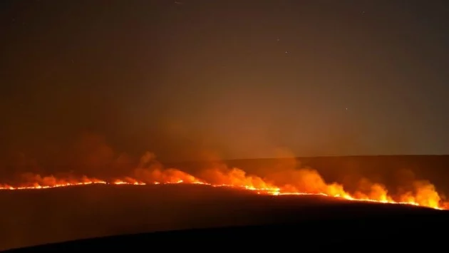 Голям пожар пламна в борова гора в Хърватия