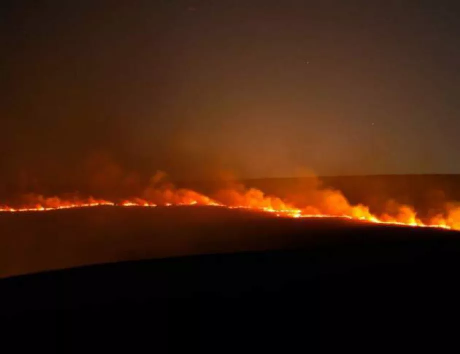 Гръцката полиция работи по версията за умишлен пожар на остров Евбея