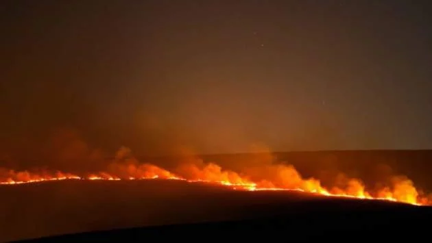 Стабилизиран е пожарът на Канарските острови 