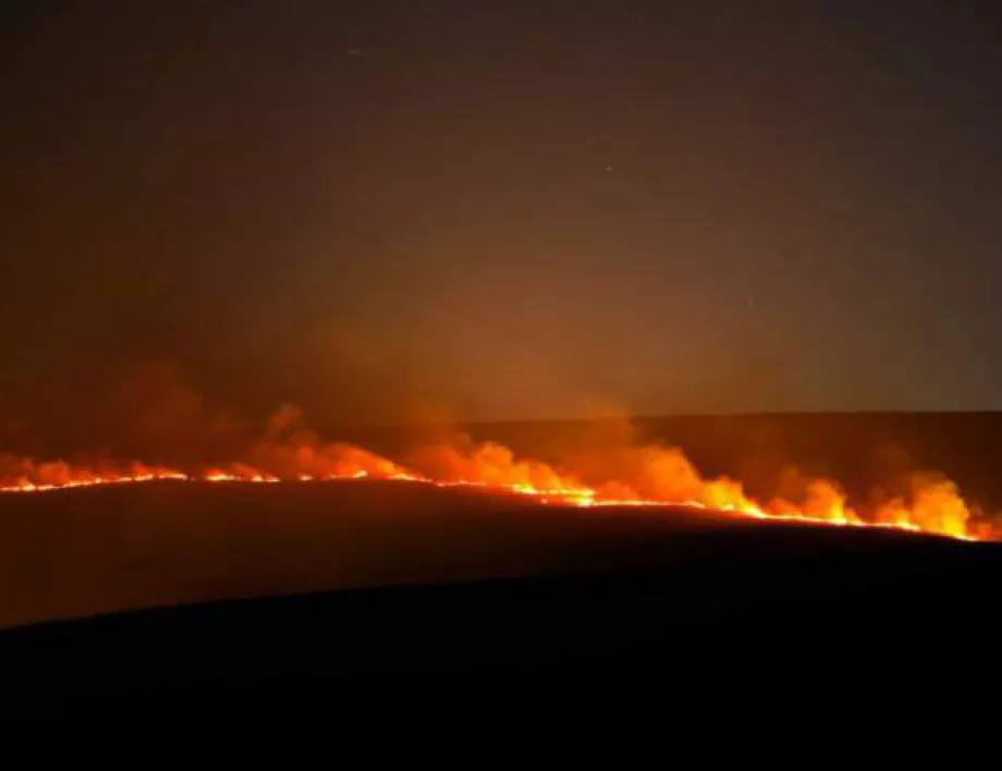 Стабилизиран е пожарът на Канарските острови 
