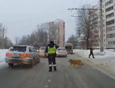 Полицай спира движението, за да може куцо куче да пресече (ВИДЕО)
