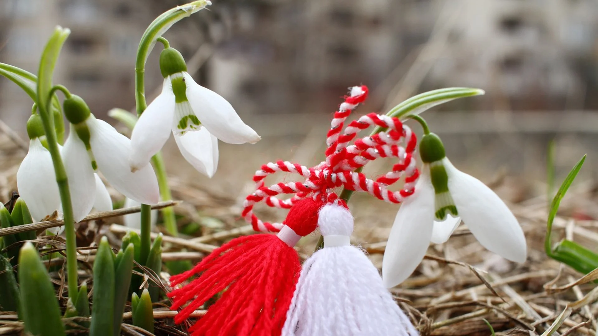 Прогноза за времето - 1 март 2024 г. (петък)