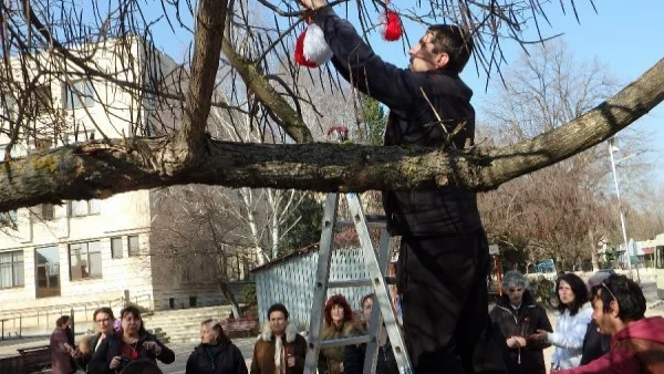 Дърво на сполуката грейна с мартеници в Ценово