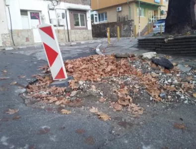 Община Асеновград търси директор за социално предприятие за ремонти, дава заплата 660 лв.