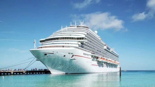 Тайният дневник на П