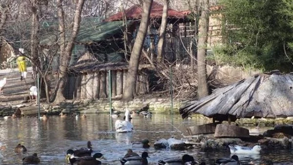 Варненци могат да се включат в пролетното почистване на Зоологическата градина