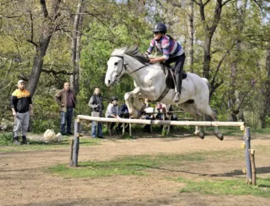 100 лв. награда за на-бързия кон на Тодоровден в Асеновград