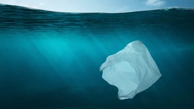 Пластмасови отпадъци задръстват океана и убиват морския живот 