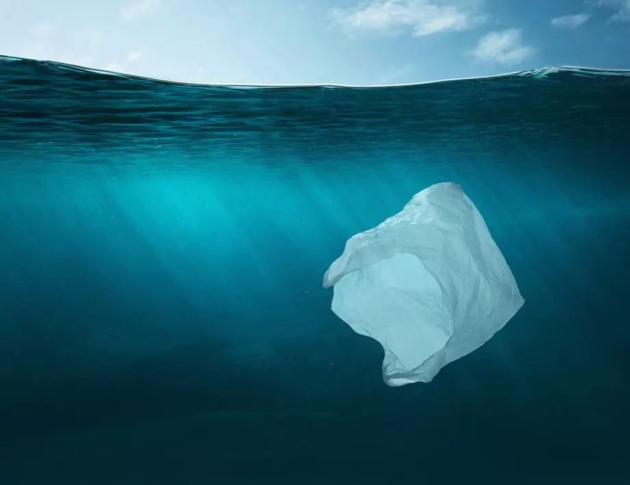 Пластмасови отпадъци задръстват океана и убиват морския живот 