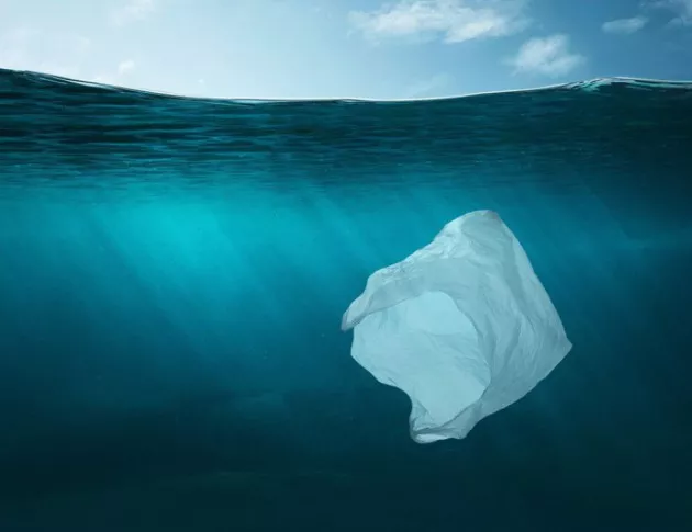 Над 4 тона пластмаса дневно влизат в Черно море през Дунав