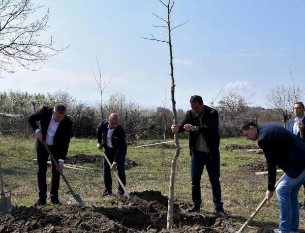 Нови дървета в парк "Лаута“, продължава подготовката и на мегапроекта за залесяване на 650 декара в Пловдив