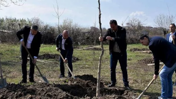 Нови дървета в парк "Лаута“, продължава подготовката и на мегапроекта за залесяване на 650 декара в Пловдив