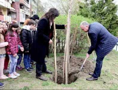 Второкласници и кметът на Видин засадиха фиданки в общински парк