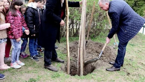 Второкласници и кметът на Видин засадиха фиданки в общински парк