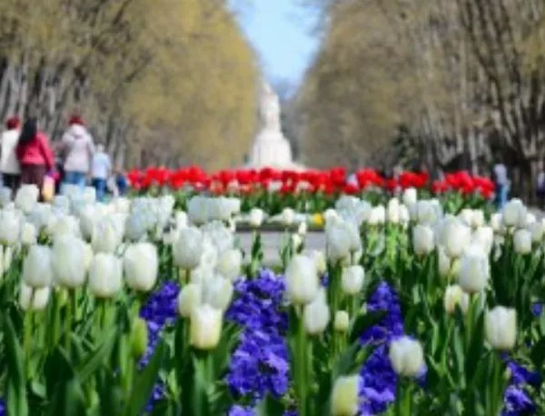 115 000 пролетни цветя ще красят Морската градина във Варна