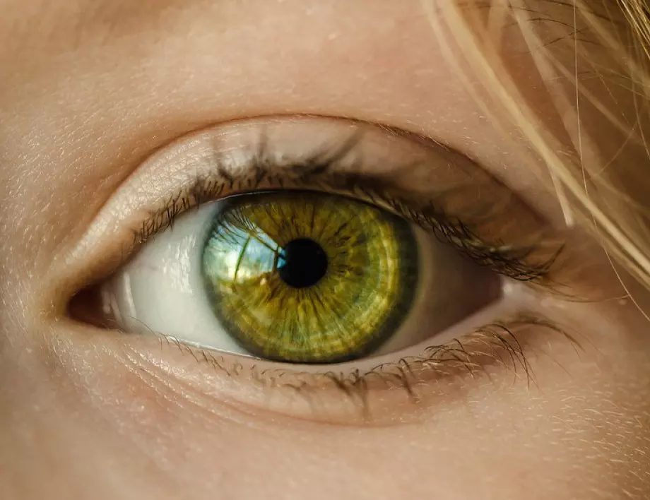 Офталмолог каза как да запазим очите си здрави цял живот