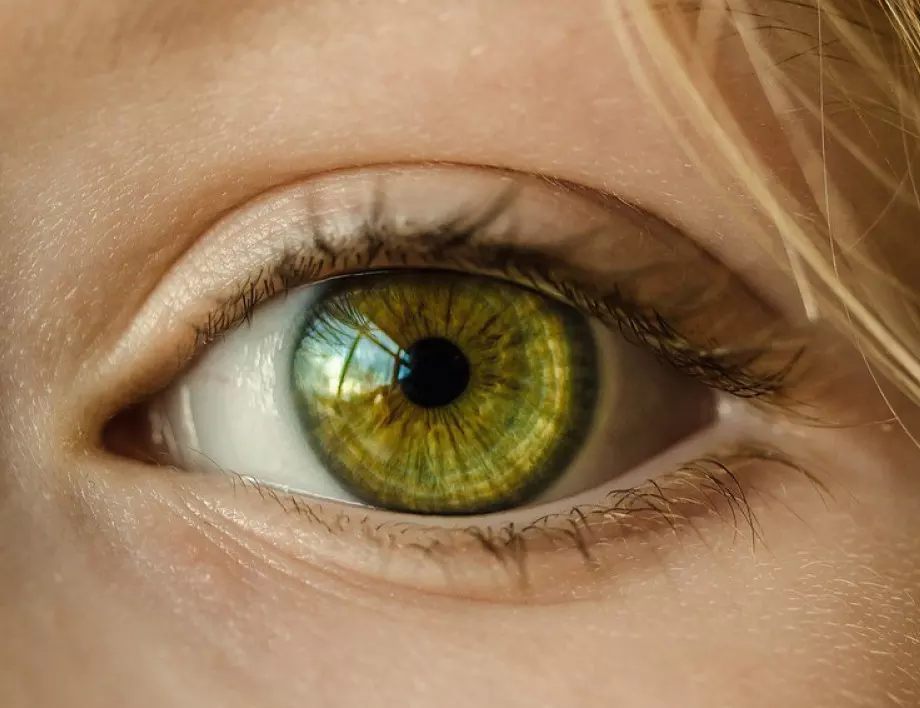 Как да проверим зрението си в домашни условия, преди да потърсим лекар?