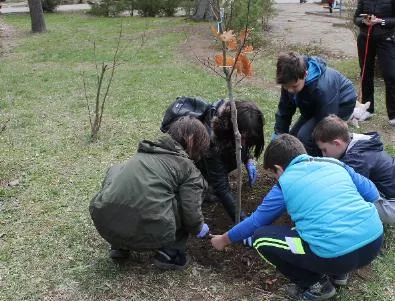 В Каварна засадиха 200 дръвчета