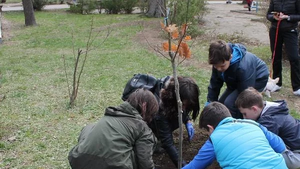 В Каварна засадиха 200 дръвчета