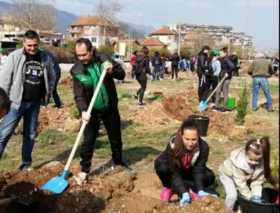 Кметът на Враца помогна на съгражданите си да засадят 300 дървета