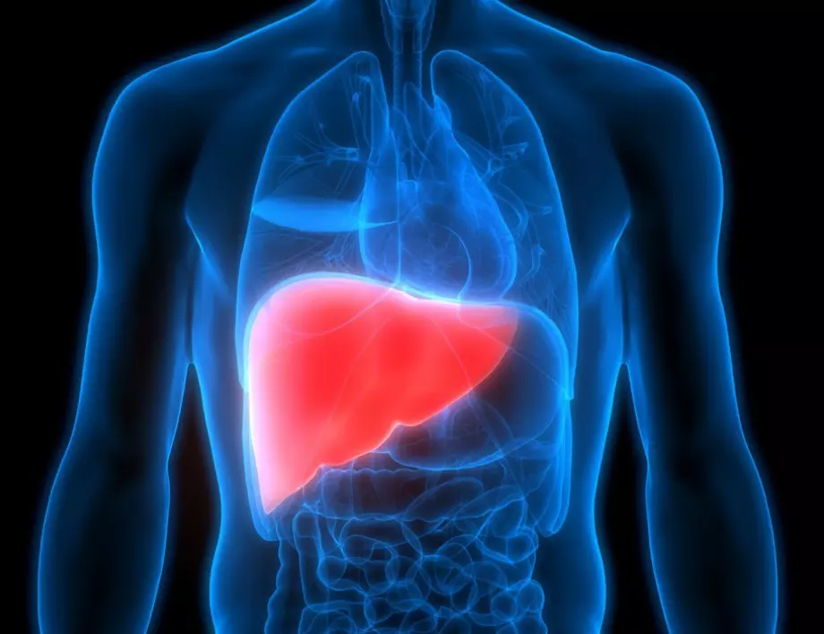 Ще се изненадате кои са най-опасните врагове на черния дроб
