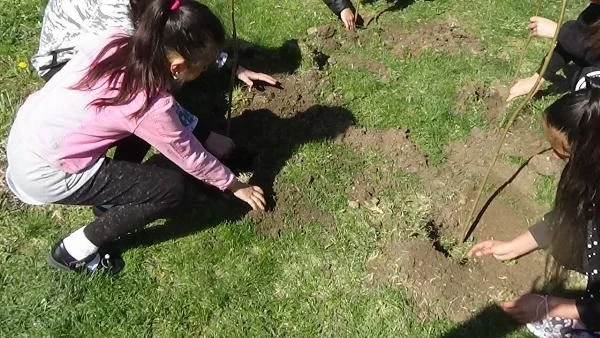 Деца от Крушари стават "Лесовъд за един ден"