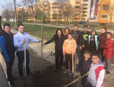 Деца от Раковски засаждаха дървета в 